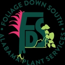 Foliage Down South - Plants-Interior Design & Maintenance