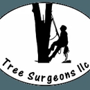 Tree Surgeons LLC - Tree Service