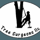 Tree Surgeons LLC