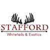 Stafford Whitetails and Exotics gallery