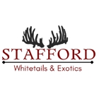 Stafford Whitetails and Exotics