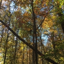 Bernheim Arboretum & Forest - Research Services