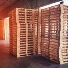 Pioneer Pallet BCI