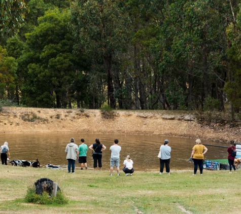 Alfoxton Dog Centre - Heathcote Junction, VIC