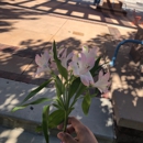 Albuquerque's Civic Plaza - Historical Places