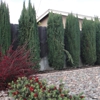 Sanchez Landscaping Service gallery