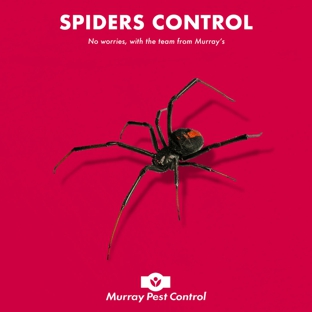Murray Pest Control - Jamestown, SA