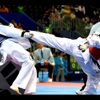 Tiger Kim's Academy of Taekwondo and Tang Soo Do gallery