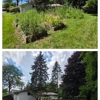 Keen Cut Lawn & Landscape gallery