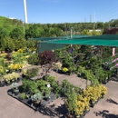 East End Trees - Nurseries-Plants & Trees