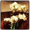 Venetian Nail Spa gallery