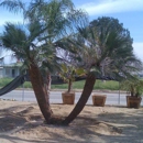 Hanson Palms - Landscaping Equipment & Supplies