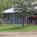 La Bota Ranch Equestrian Center - Boarding Houses
