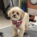 Oh My Dog Mobile - Pet Grooming