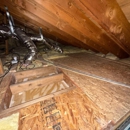 Elm Insulation & Sound Solutions - Insulation Contractors