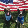 Tellico Bay Animal Hospital gallery