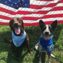 Tellico Bay Animal Hospital - Veterinarians