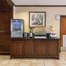 Comfort Suites Tomball Medical Center - Lodging