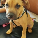 Mercy Pet Hospital - Veterinary Clinics & Hospitals
