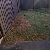 Gallery Image Number 7