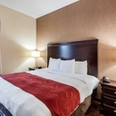 Comfort Suites Dulles Airport - Motels