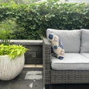 Tierra Design - Graphic Designers