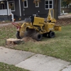 Simple Stump Grinding gallery