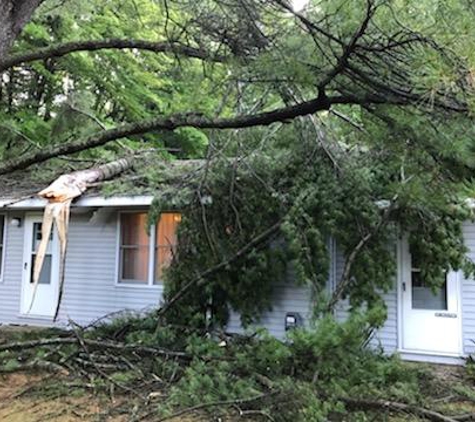 A-Ton Tree & Debris - Midland, MI