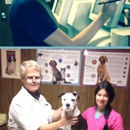 North Suburban Veterinary Hospital - Pet Grooming