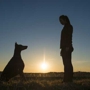 Respectful Canine - Dog Training and More