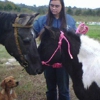 Party Time Ponies gallery