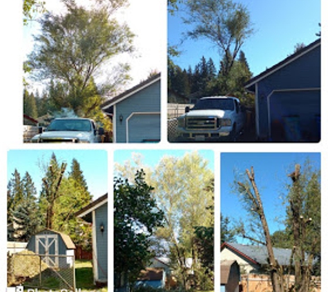 Arbor City Tree Care - Vancouver, WA