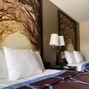 Super 8 by Wyndham Elberton - Motels