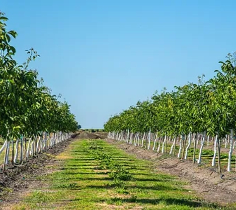 CAF Consulting - Shepparton, VIC
