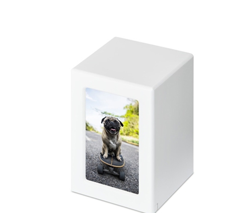 Mackay Pet Cremations
