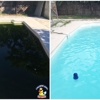 Chlorine King Pool Service gallery