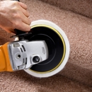 Kiwi Carpet Cleaning Services - Carpet & Rug Cleaners