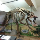 Carter County Museum - Museums