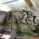 Carter County Museum