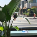 Bluestone Lane Venice Beach Cafe - Coffee Shops