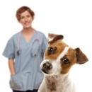 Yonkers Animal Hospital - Veterinarians