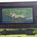 Dog Pond Kennels