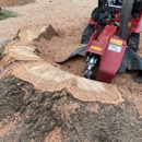 Absolute Stump Grinding - Stump Removal & Grinding