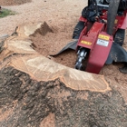 Absolute Stump Grinding