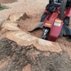 Absolute Stump Grinding