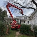 Allstate Tree & Landscape Group - Tree Service