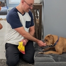 Dog Training Elite Greater Cincinnati - Pet Training