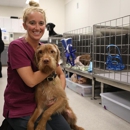 Seattle Veterinary Specialists - Veterinarian Emergency Services