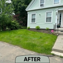 Backyard Revolution Landscaping & Construction - Gardeners