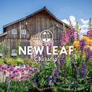 New Leaf Nursery - Nurseries-Plants & Trees